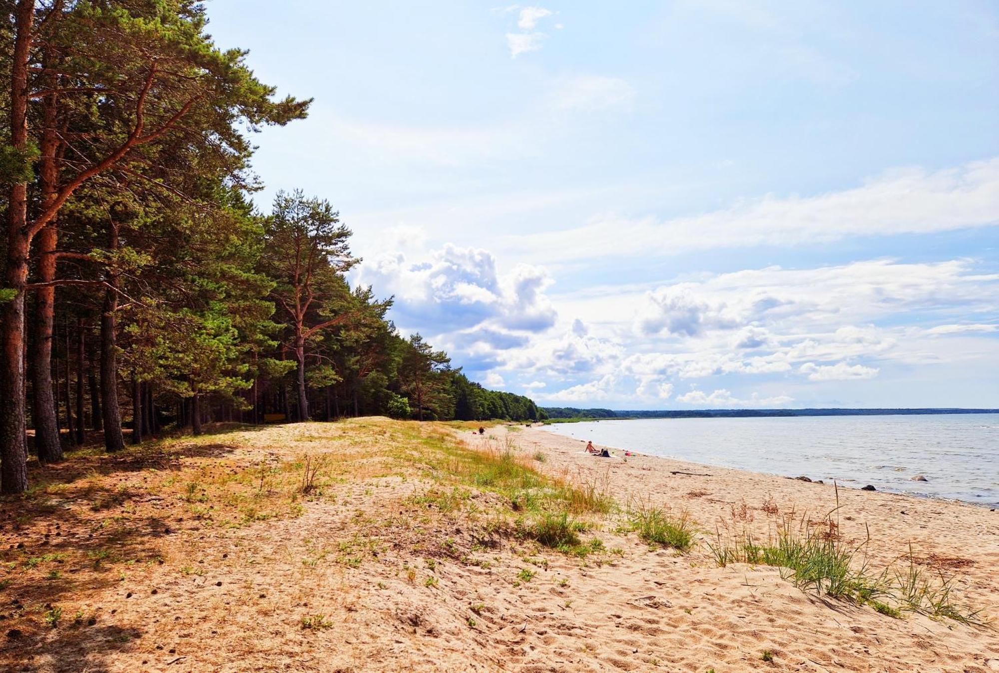 Elulille Maja Mere Laeheduses Lahemaa Ruepes Andineeme Bagian luar foto
